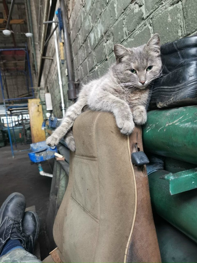 Знакомьтесь, это Лёшик Сыровяленых. Наш уважаемый батр...