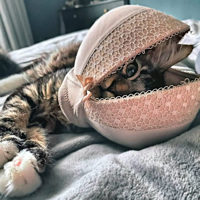 Жемчужина в раковине))