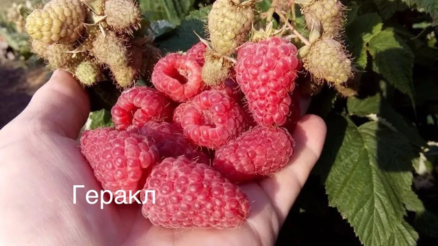 ‼️Отличная новость для садоводов г.Бузулук!
🌿🌳 9 Окт...