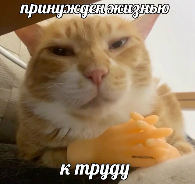 Просто я на работе