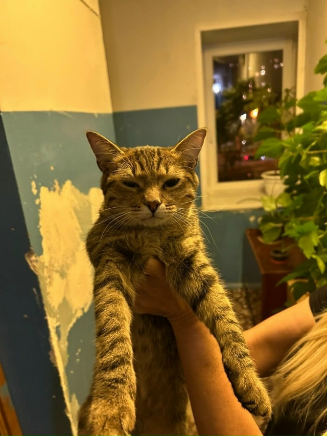 Трогательная история спасения произошла в Самаре. Ж?...