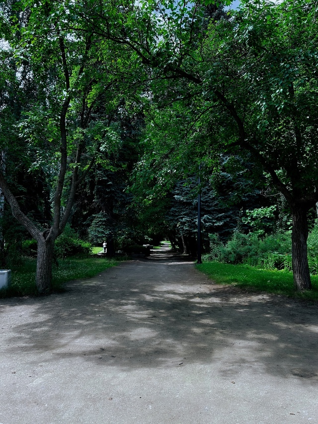 Прогулка по летнему дендропарку после дождя🌳⛅️