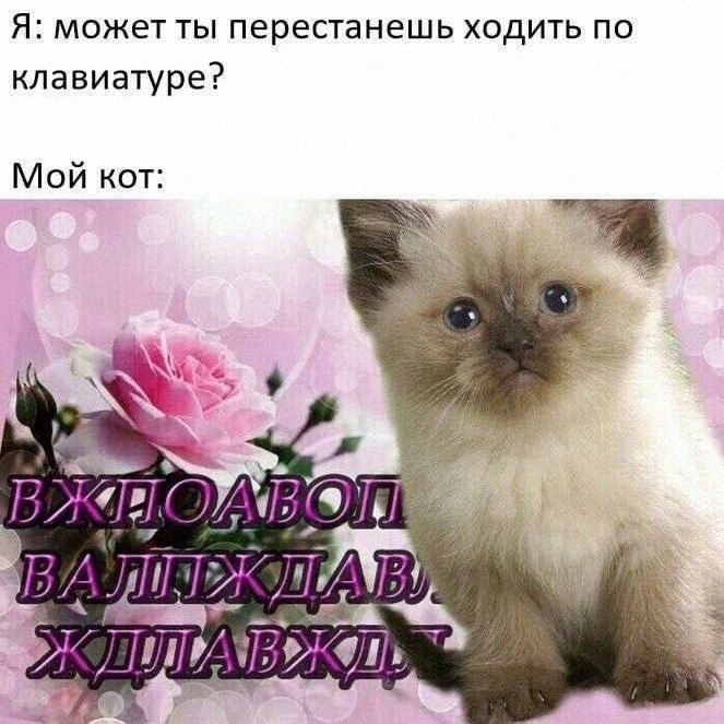 Утренняя подборочка