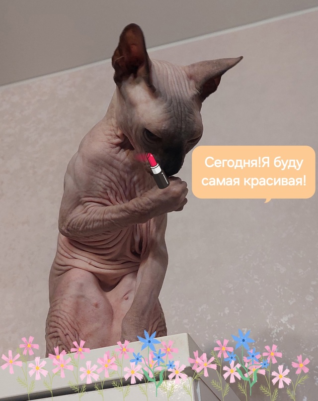 Уууу эти коленочки и складочки