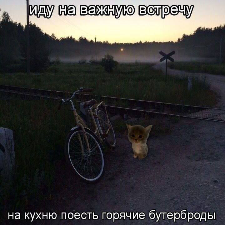 Утренняя подборочка