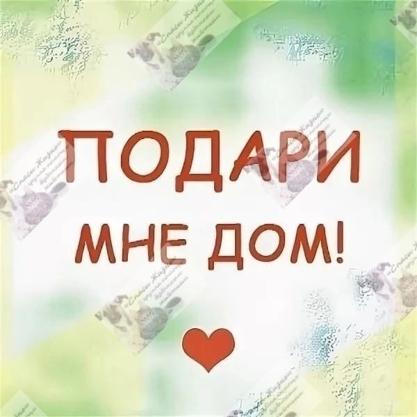 Что такое происходит 😳?
Мимо Кнопы все проходят,
А она ...