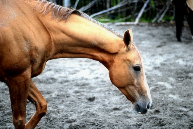 Друзья,у нас на 