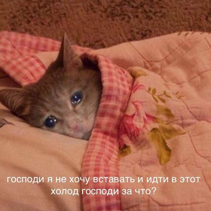 Утяжелённые одеяла действительно помогают людям с СДВГ и депрессией — это подтвердили учёные.
Давле