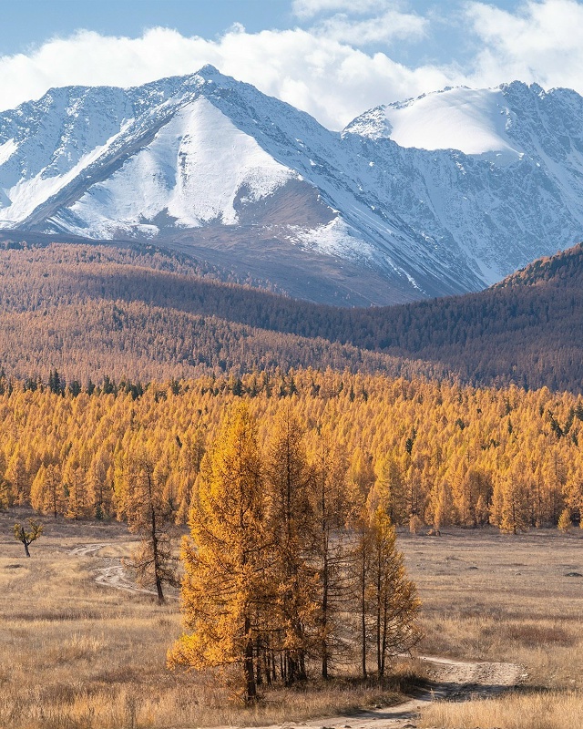 Актру, Алтай 🇷🇺