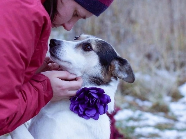 Вита ищет в Можайске хозяина!
Где ты её человек???
Почт?...