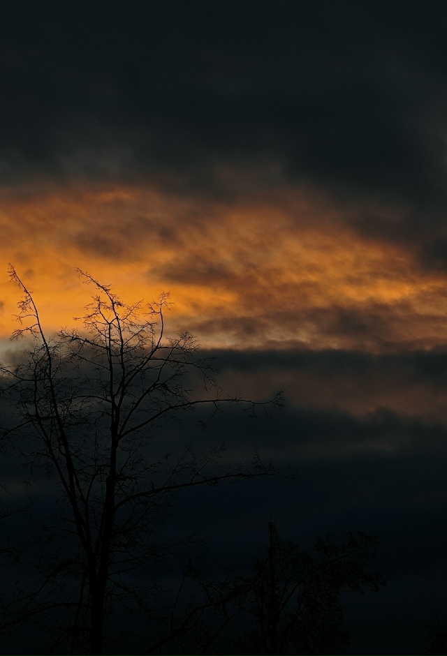 Доброе утро✨