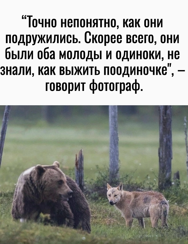 Дружба бывает разной