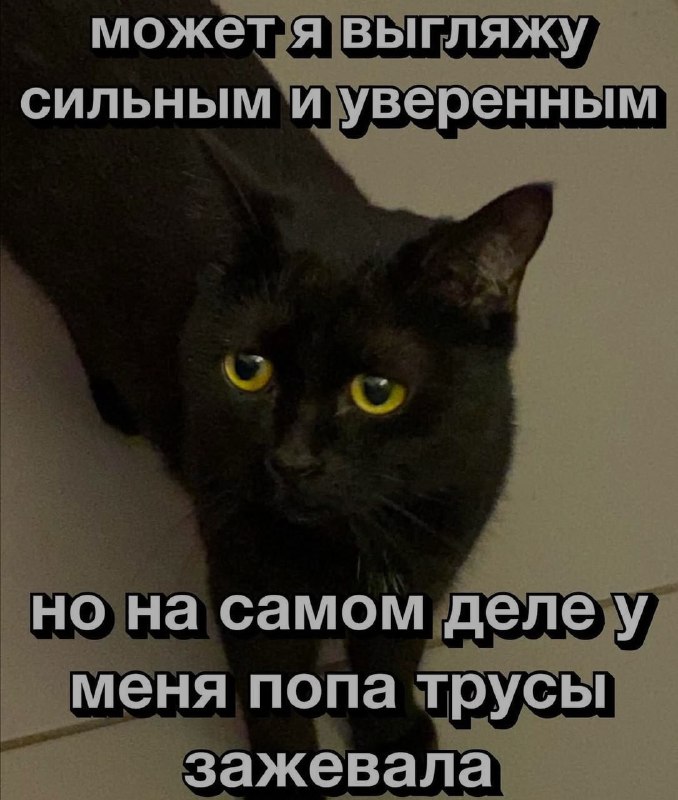 Ночная подборочка
Спать, режим