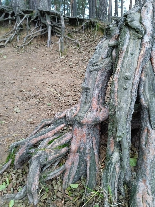 Кратово - это место, где вы можете встретить настоящую ?...