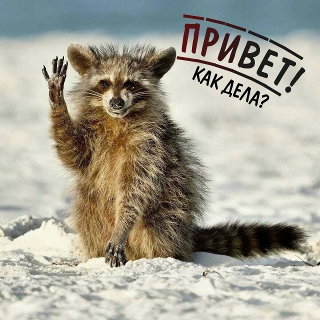 ☀️ ДОБРОЕ УТРО, НАРЬЯН-МАР! ЧЕТВЕРГ УЖЕ ЗДЕСЬ
За окном...