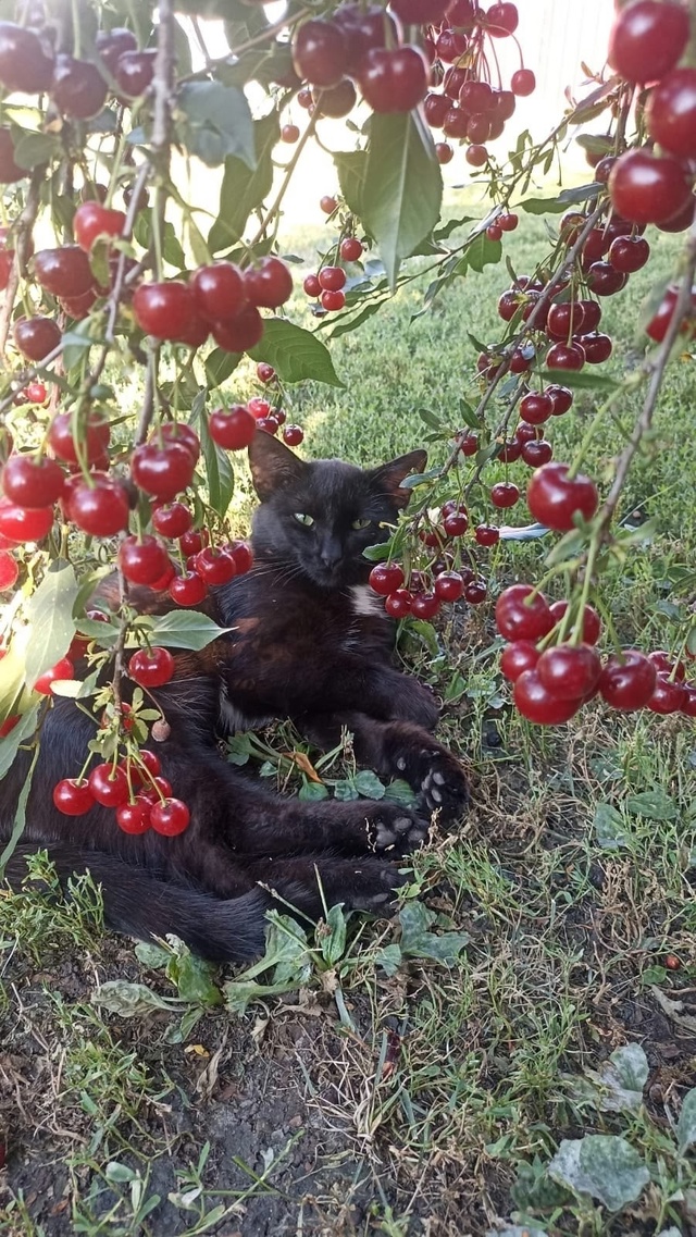 ️Доброе утро!  Прогноз погоды на 5 августа
В Оренбург?...
