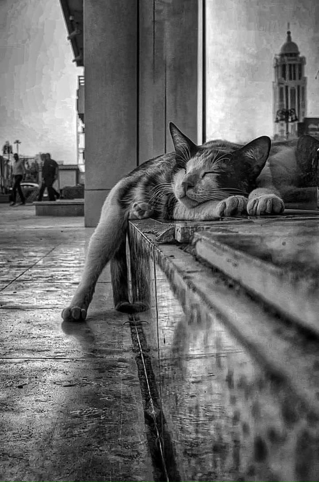 Мутя в Италии))) ИИ