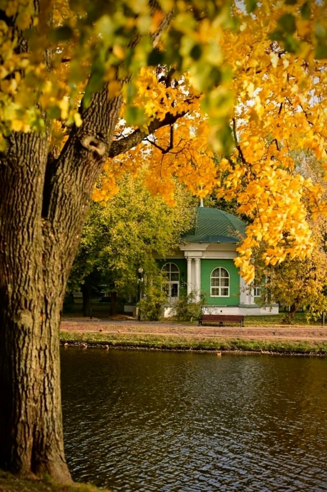 Осень в Екатерининском парке 🍁
Фото: Алексей Хусаин?...