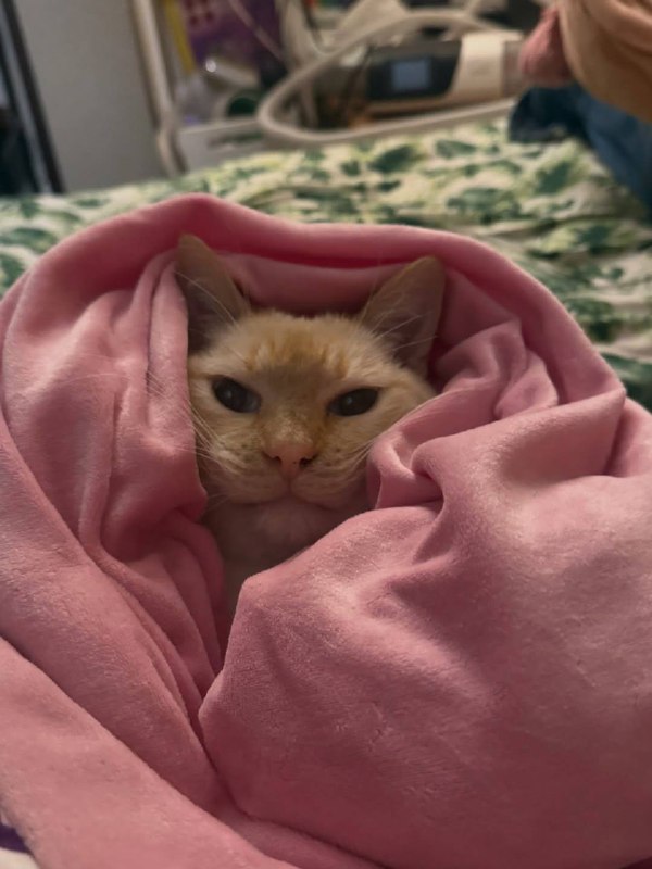 Укутываемся потеплее и спотб :3