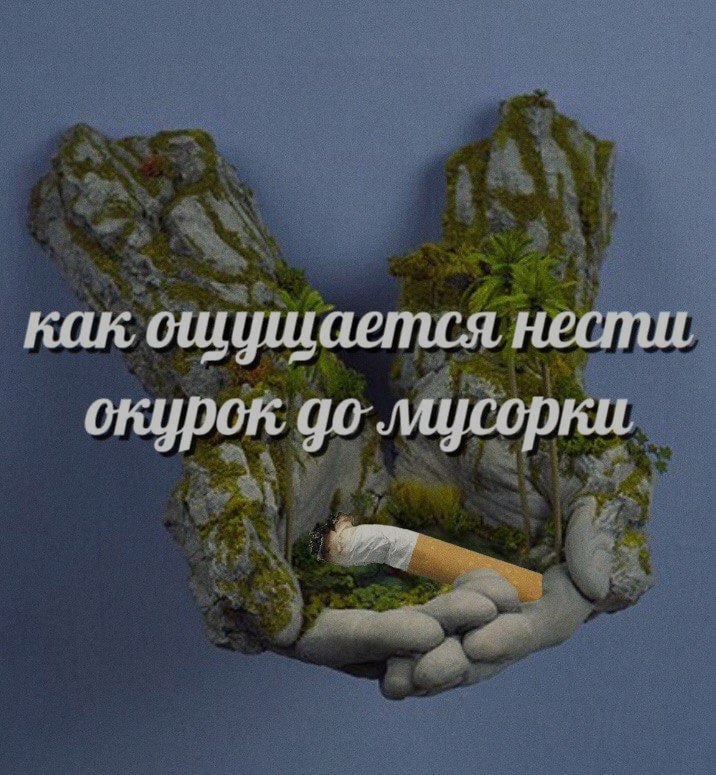 Ночная подборочка
Спать, режим