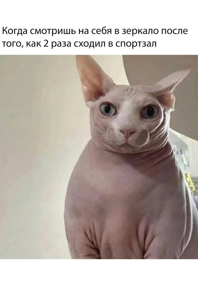 🫣