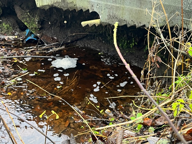 Добрый вечер! Обращение к администрации Кадуйского ра?...