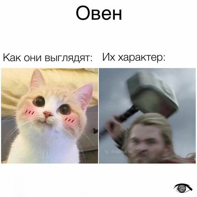Вы узнаете себя, 100% 😂
