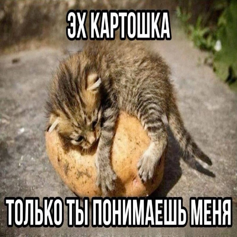 Утренняя подборочка