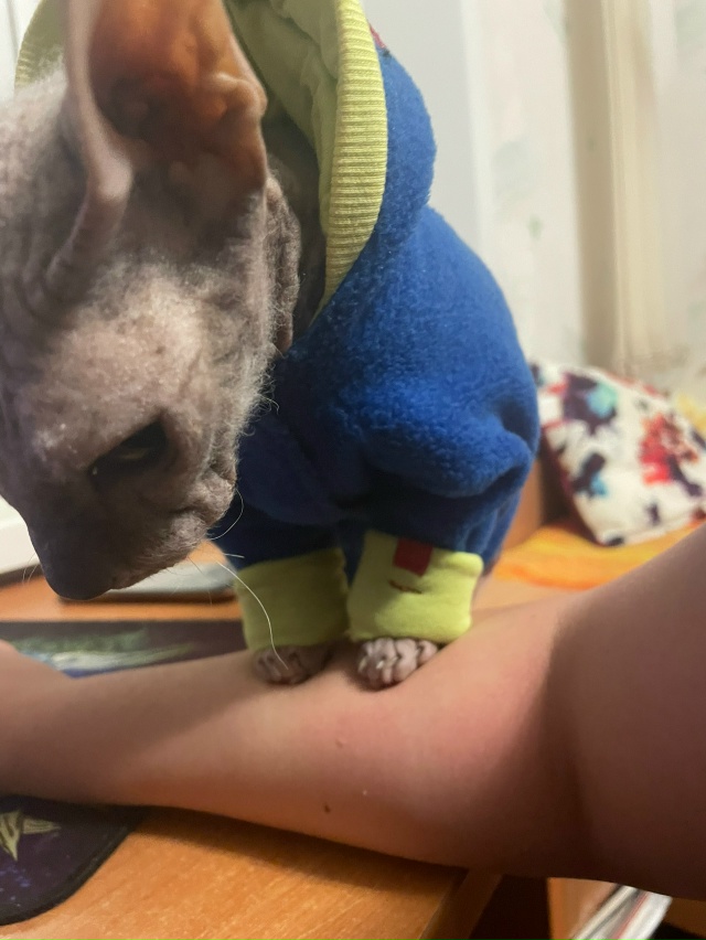 Мишель
эксперт по котлеткам с сыром, огурцам и кабачка?...