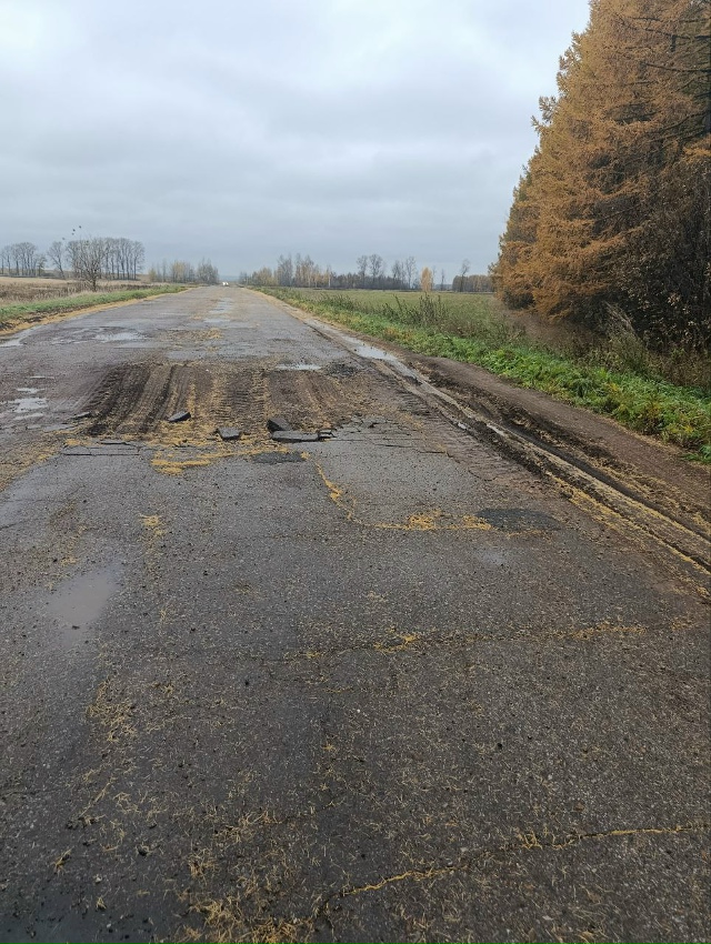 это в забелой дорога на Печенкино дальше поворота на М?...