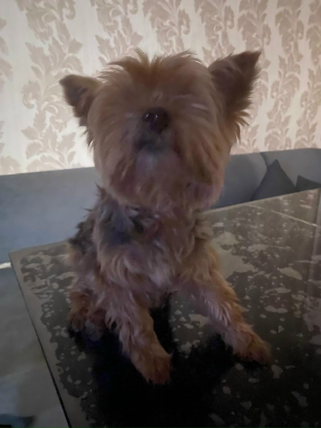 Добрый вечер!
В районе проезда Маяковского найдена со...