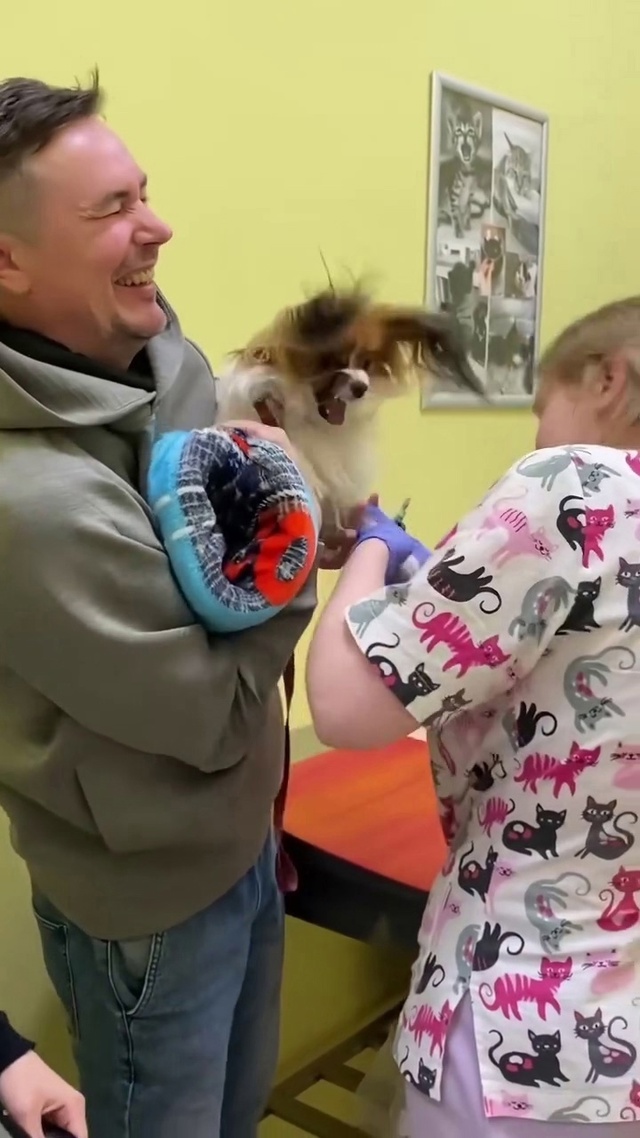 Оказывается СОБАКИ тоже сильно БОЯТСЯ уколов 🐕💉