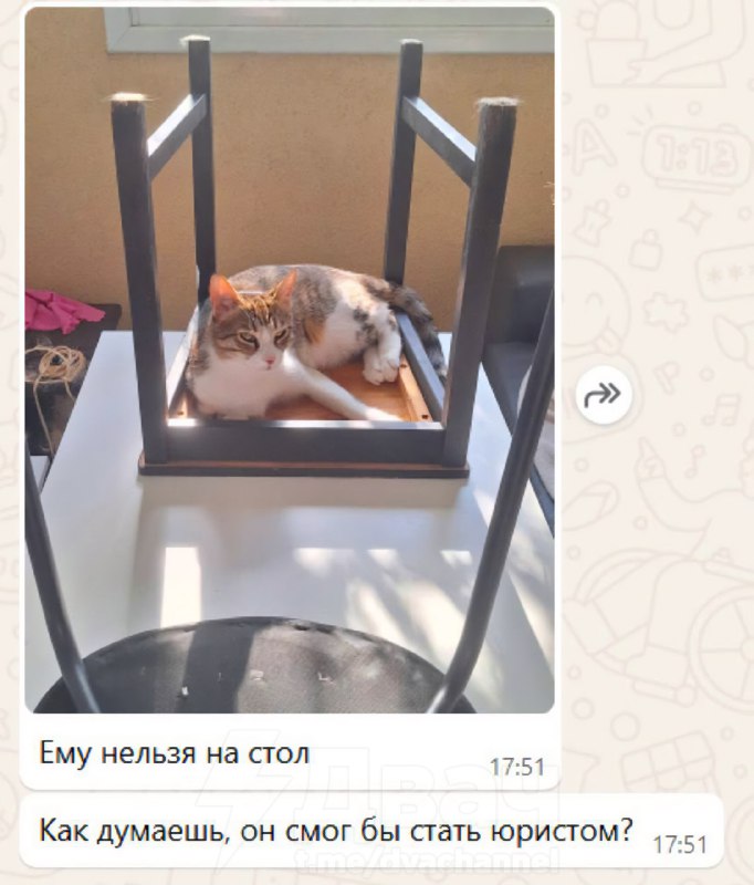 Переиграл и уничтожил