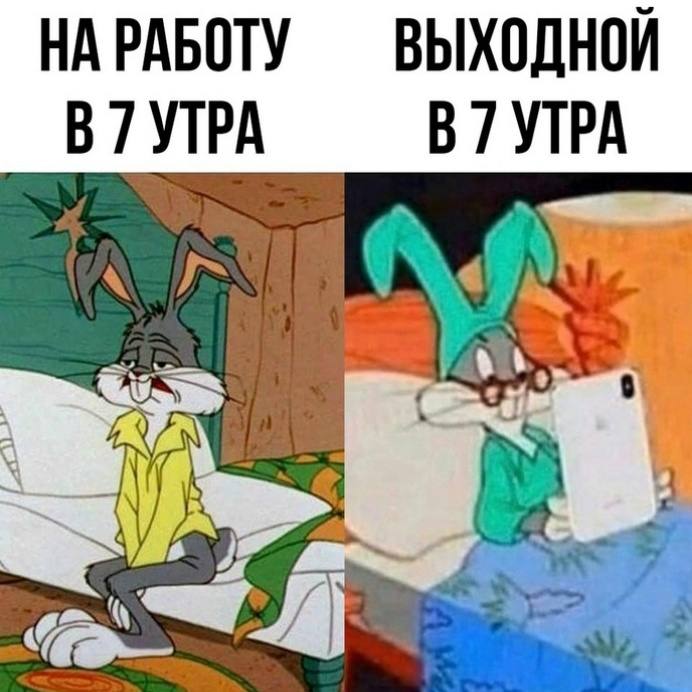 жиза