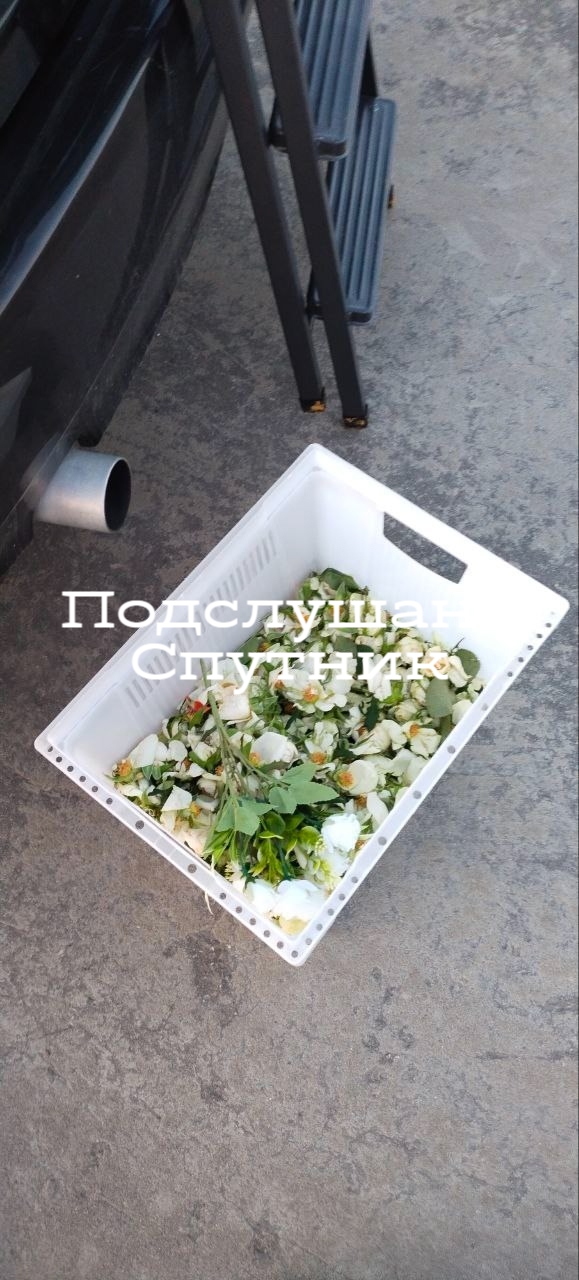 🌼🌼Груды цветов лежали сегодня на тропе здоровья
