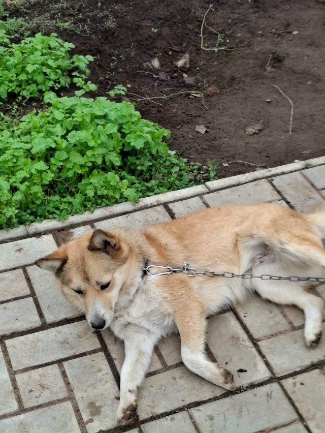 Потерялась 