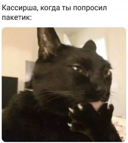 Утренняя подборочка