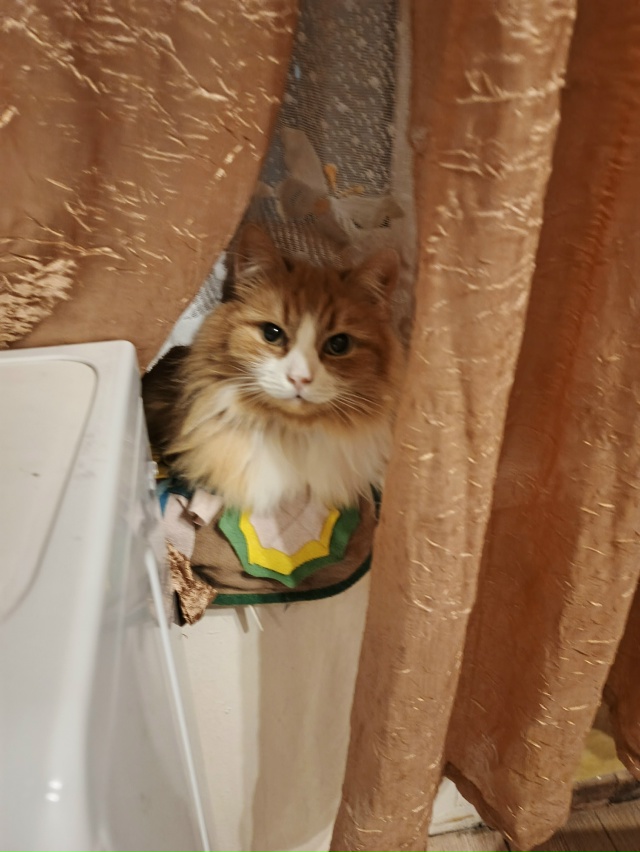 Александр Шурик