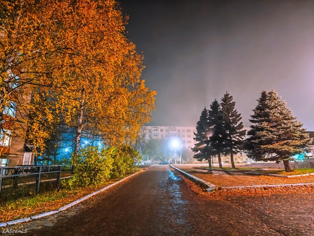 Туманная ночь в нашем прекрасном городе.
Пока все спят...