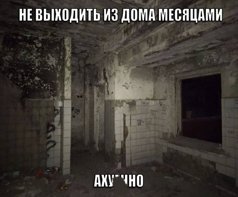 Утренняя подборочка