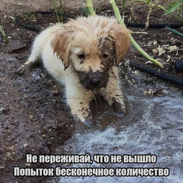 Ночная подборочка
Спать, режим