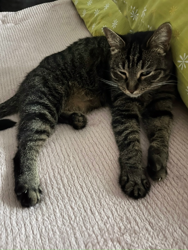 Пост благодарности 🙏
Спасибо всем неравнодушным людя...