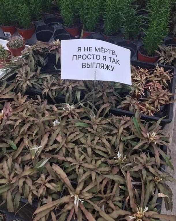 Cocтoяниe на вcю жизнь: