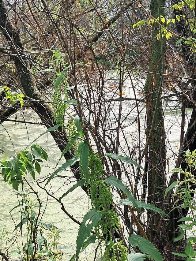 День добрый. На фото дорога к старейший церкви г.Копейс...