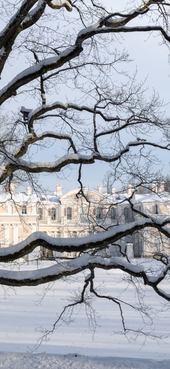 Хорошего дня!
Фото: peterhof_museum
#фото