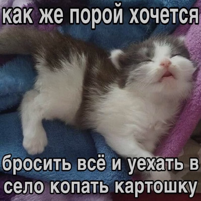 Ночная подборочка
Спать, режим