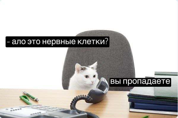 ⚡️Психологи утверждают, что тряска телом значительно...