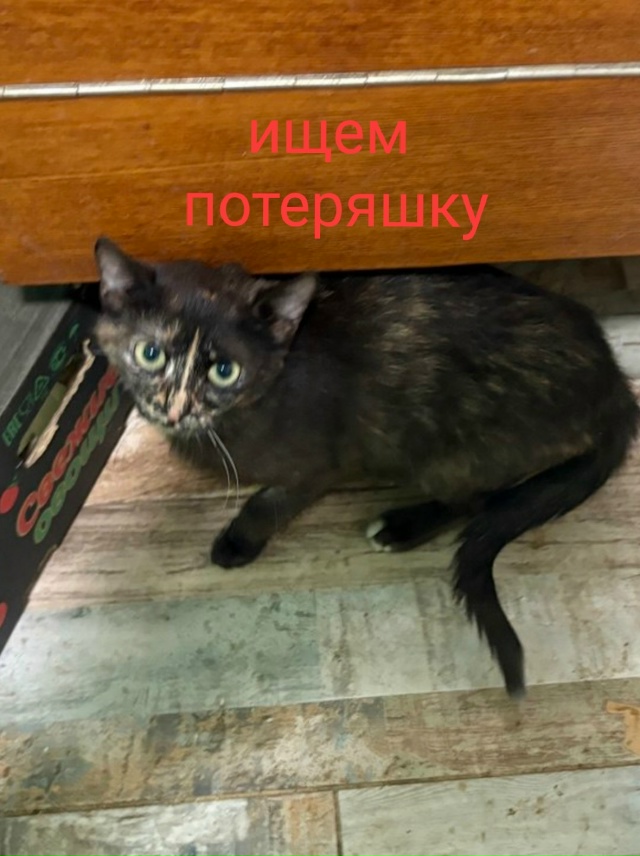 Добрый день всем! Очень нужна ваша помощь с поиском! Ко?...