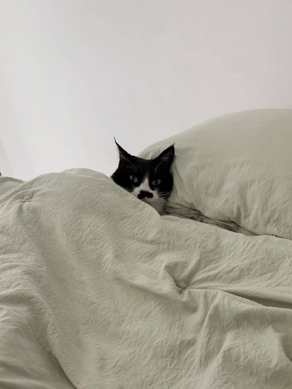 Ну идем уже споть, я же жду тибя в кроватке :3