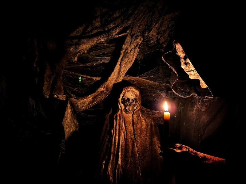 В Узбекистане проводят самый криповый хоррор-квест — эта игра идёт целые сутки
Ночью участников зав